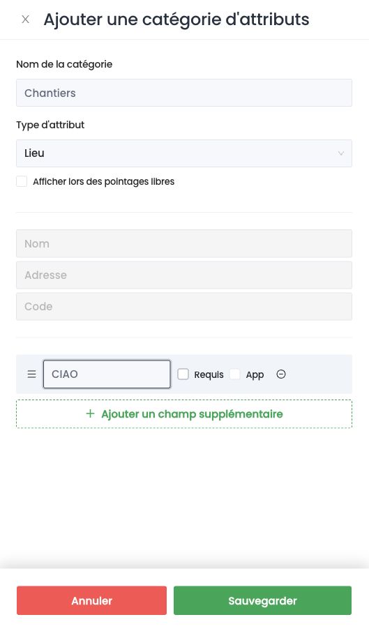 Catégorie d'attributs Chantiers de type Lieu, avec le champ supplémentaire CIAO