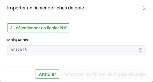 Fenêtre Importer un fichier de fiches de paie : fichier PDF et mois concerné